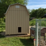 Mukwonago Chicken Coop with chicken door